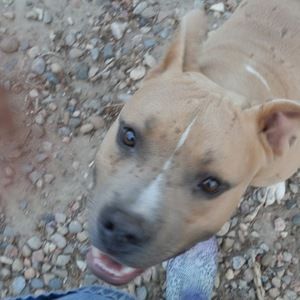 Meet your Posher, Cynthia